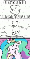 Size: 640x1250 | Tagged: safe, princess celestia, alicorn, bear, pony, g4, asdfmovie, desmond the moon bear, floppy ears, grin, laughing, moon, smiling, to the moon, trollestia