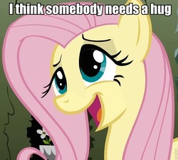 Size: 800x720 | Tagged: safe, fluttershy, g4, bronybait, hug, image macro, reaction image