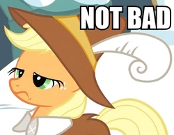 Size: 897x695 | Tagged: safe, applejack, smart cookie, g4, apathy, image macro, reaction image