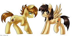 Size: 1350x690 | Tagged: safe, artist:mixipony, mandopony, wild fire, g4, duo, full body, looking at you, raised hoof, side by side, side view, simple background, smiling, standing, white background