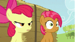Size: 576x324 | Tagged: safe, screencap, apple bloom, applejack, babs seed, apple family reunion, g4, animated, female