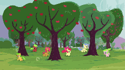 Size: 672x378 | Tagged: safe, screencap, apple bloom, apple flora, apple squash, babs seed, red june, sweet tooth, earth pony, pony, apple family reunion, g4, animated, apple family member, butt, female, loop, plot, running, tree