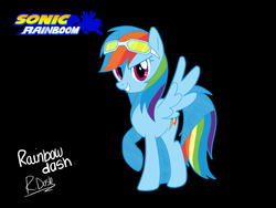 Size: 900x675 | Tagged: safe, artist:familyof6, rainbow dash, pony, g4, crossover, female, male, solo, sonic rainboom, sonic riders, sonic the hedgehog, sonic the hedgehog (series), style emulation