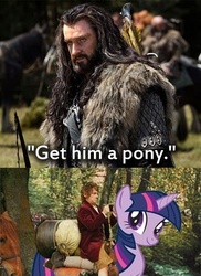 Size: 360x494 | Tagged: safe, twilight sparkle, g4, bilbo baggins, crossover, the hobbit, thorin oakenshield
