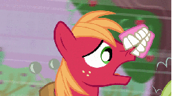 Size: 576x324 | Tagged: safe, screencap, auntie applesauce, big macintosh, candy apples, granny smith, earth pony, pony, apple family reunion, g4, animated, apple family member, male, stallion