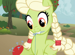 Size: 975x717 | Tagged: safe, screencap, granny smith, earth pony, pony, apple family reunion, g4, braid, braided tail, cropped, female, mare, mouth hold, needle, pincushion, sewing, solo, thread, young granny smith, younger
