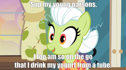 Size: 1280x714 | Tagged: safe, granny smith, apple family reunion, g4, facelift, homestar runner, image macro