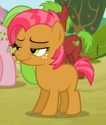 Size: 569x675 | Tagged: safe, screencap, apple cinnamon, babs seed, red gala, earth pony, pony, apple family reunion, g4, apple, apple family member, apple tree, bedroom eyes, female, filly, lidded eyes, male, mare, smiling, stallion, tree