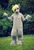 Size: 479x702 | Tagged: safe, artist:tinderboxer, derpy hooves, human, g4, cosplay, costume, fursuit, irl, irl human, photo