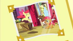 Size: 1175x653 | Tagged: safe, apple bloom, babs seed, winona, apple family reunion, g4