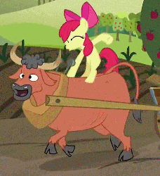 Size: 465x508 | Tagged: safe, screencap, apple bloom, bull, earth pony, pony, apple family reunion, g4, adorabloom, animal, animated, cloven hooves, cute, duo, eyes closed, farm, female, filly, ponies riding bulls, riding, walk cycle