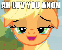 Size: 891x715 | Tagged: safe, applejack, apple family reunion, g4, crying, happy, image macro, inverted mouth, love