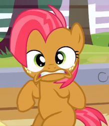 Size: 583x669 | Tagged: safe, screencap, babs seed, earth pony, pony, apple family reunion, g4, cropped, female, filly, solo
