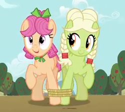 Size: 312x280 | Tagged: safe, screencap, apple rose, granny smith, earth pony, pony, apple family reunion, g4, season 3, bow, braid, cousins, cropped, duo, female, hair bow, mare, seven-legged race, young apple rose, young granny smith, younger