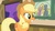 Size: 1263x712 | Tagged: safe, screencap, applejack, apple family reunion, g4, painting, speculation