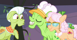 Size: 620x324 | Tagged: safe, screencap, apple rose, auntie applesauce, granny smith, apple family reunion, g4, glasses