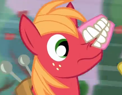 Size: 436x340 | Tagged: safe, screencap, big macintosh, earth pony, pony, apple family reunion, g4, cropped, false teeth, male, solo, stallion