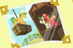 Size: 512x340 | Tagged: safe, screencap, big macintosh, bushel, hayseed turnip truck, hoss, earth pony, pony, apple family reunion, g4, my little pony: friendship is magic, apple family member, male, stallion