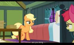 Size: 1680x1028 | Tagged: safe, screencap, apple bloom, applejack, apple family reunion, g4, letterboxing, youtube caption