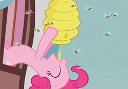 Size: 500x348 | Tagged: safe, screencap, pinkie pie, bee, earth pony, pony, apple family reunion, g4, beehive, female, honey, mare