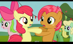 Size: 1680x1028 | Tagged: safe, screencap, apple bloom, apple honey, babs seed, red gala, wensley, earth pony, pony, apple family reunion, g4, bipedal, letterboxing, youtube caption