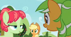 Size: 604x320 | Tagged: safe, screencap, apple dumpling, apple leaves, applejack, apple family reunion, g4, apple family member, lidded eyes, out of context