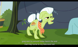 Size: 1680x1028 | Tagged: safe, screencap, granny smith, apple family reunion, g4, letterboxing, youtube caption