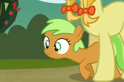 Size: 472x312 | Tagged: safe, screencap, apple crumble, jonagold, marmalade jalapeno popette, earth pony, pony, apple family reunion, g4, apple family member, filly