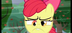 Size: 1453x672 | Tagged: safe, apple bloom, apple family reunion, g4, derp, dizzy