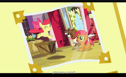 Size: 1680x1028 | Tagged: safe, screencap, apple bloom, babs seed, winona, apple family reunion, g4, letterboxing, youtube caption