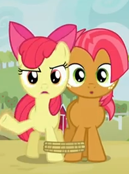 Size: 208x280 | Tagged: safe, screencap, apple bloom, babs seed, apple family reunion, g4