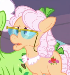 Size: 252x268 | Tagged: safe, screencap, apple rose, auntie applesauce, earth pony, pony, apple family reunion, g4, cropped, elderly, female, glasses, mare, solo focus