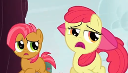 Size: 520x300 | Tagged: safe, screencap, apple bloom, babs seed, apple family reunion, g4, my little pony: friendship is magic