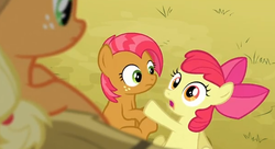 Size: 604x328 | Tagged: safe, screencap, apple bloom, applejack, babs seed, apple family reunion, g4