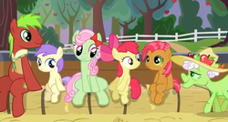 Size: 620x332 | Tagged: safe, screencap, alula, apple bloom, apple cinnamon, auntie applesauce, babs seed, florina tart, pluto, earth pony, pony, apple family reunion, g4, apple family member, bolo tie, eyes on the prize, female, filly, foal, hat, mare, sitting