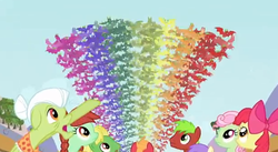 Size: 612x336 | Tagged: safe, screencap, alula, apple bloom, apple cinnamon, big macintosh, candy apples, florina tart, granny smith, pluto, wensley, earth pony, fruit bat, pony, apple family reunion, g4, apple family member, cropped, female, filly, looking up, male, mare, pointing, rainbow, stallion