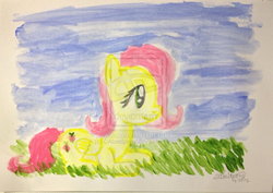 Size: 2061x1456 | Tagged: safe, artist:dabestpony, fluttershy, pony, g4, female, solo, traditional art, watercolor painting