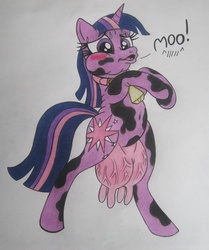 Size: 856x1024 | Tagged: safe, artist:spectrum-sparkle, twilight sparkle, cow, pony, unicorn, g4, bell, bell collar, belly button, bipedal, blushing, collar, cowbell, cowified, female, moo, nudity, solo, species swap, sweat, twilight sparcow, udder, unicorn twilight, vein, veiny udder