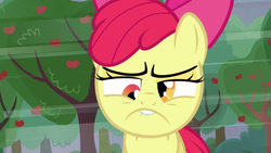 Size: 1280x720 | Tagged: safe, screencap, apple bloom, earth pony, pony, apple family reunion, g4, bucktooth, derp