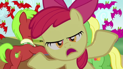 Size: 1280x720 | Tagged: safe, screencap, apple bloom, apple cinnamon, wensley, apple family reunion, g4, season 3, animation error, apple family member, butt, lidded eyes, plot