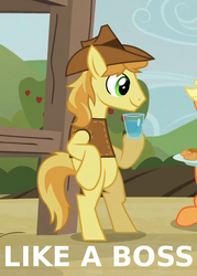 Size: 500x700 | Tagged: safe, edit, edited screencap, screencap, braeburn, earth pony, pony, apple family reunion, g4, bipedal, bipedal leaning, caption, cropped, image macro, leaning, male, solo focus, stallion, text