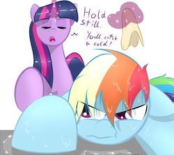 Size: 900x800 | Tagged: safe, artist:kryptchild, rainbow dash, twilight sparkle, g4, towel, wet, wet mane