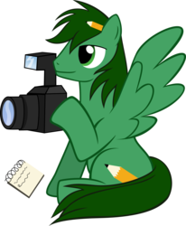 Size: 2169x2637 | Tagged: artist needed, source needed, safe, oc, oc only, pegasus, pony, grass marks