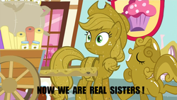 Size: 1267x717 | Tagged: safe, edit, edited screencap, screencap, applejack, sweetie belle, earth pony, pony, unicorn, apple family reunion, g4, butt, butt tail, female, filly, luster dust, mare, plot, sweetie gold