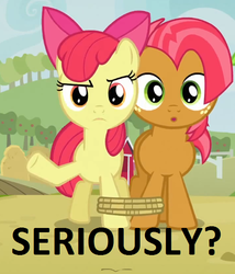 Size: 534x625 | Tagged: safe, edit, edited screencap, screencap, apple bloom, babs seed, apple family reunion, g4, image macro, reaction image, seriously