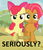 Size: 534x625 | Tagged: safe, edit, edited screencap, screencap, apple bloom, babs seed, apple family reunion, g4, my little pony: friendship is magic, image macro, reaction image, seriously