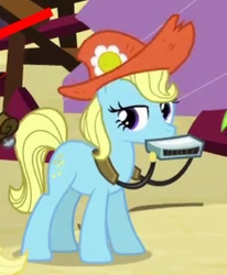Size: 241x292 | Tagged: safe, screencap, blewgrass, pitch perfect, earth pony, pony, apple family reunion, g4, apple family member, aside glance, background pony, cropped, female, harmonica, hat, mare, musical instrument, solo focus