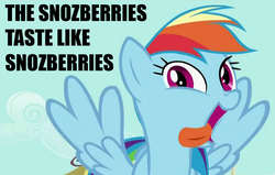 Size: 960x609 | Tagged: safe, edit, edited screencap, screencap, rainbow dash, pony, a bird in the hoof, g4, female, funny face, image macro, innuendo, looking at you, movie reference, reference, roald dahl, solo, tongue out, willy wonka and the chocolate factory