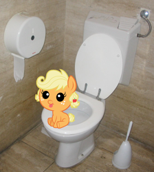 Size: 1338x1491 | Tagged: safe, applejack, apple family reunion, g4, baby, babyjack, but why, cute, imminent flush, implied pooping, irl, photo, ponies in real life, potty, potty time, potty training, sitting on toilet, toilet, vector