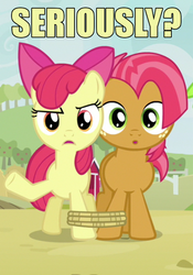 Size: 500x716 | Tagged: safe, apple bloom, babs seed, g4, image macro, reaction image, seriously
